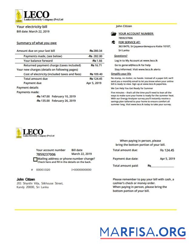 Realistic Sri Lanka LECO Company electricity utility bill template in Word and PDF format